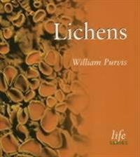 Lichens