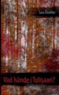 Vad hände i Tulisaari?