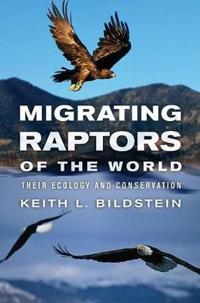 Migrating Raptors of the World