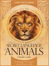 The Secret Language of Animals