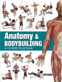 Anatomy & Bodybuilding: A Complete Visual Guide