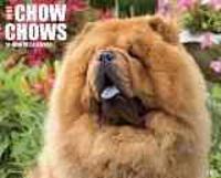 Just Chow Chows 18-Month Calendar