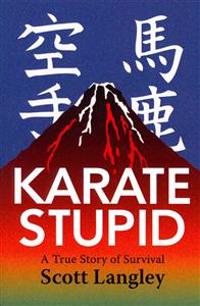 Karate Stupid