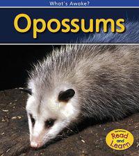 Opossums