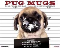 Pug Mugs Calendar: Good Pugs Gone Bad