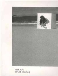 Espacio imantado / Magnetized Space