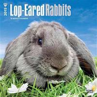Lop-Eared Rabbits 18-Month 2015 Calendar