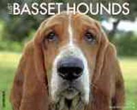 Just Basset Hounds 18-Month Calendar