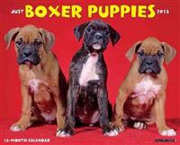 Just Boxer Puppies 18-Month Calendar