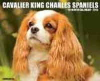 Cavalier King Charles Spaniels 18-Month Calendar