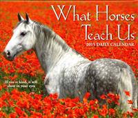 What Horses Teach Us Calendar