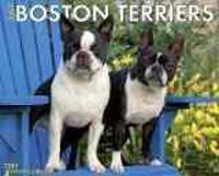 Just Boston Terriers 18-Month Calendar
