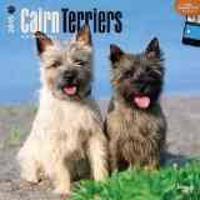 Cairn Terriers 18-Month 2015 Calendar