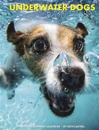 Underwater Dogs Engagement Calendar