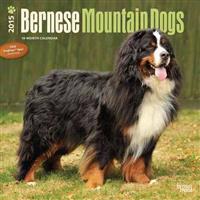 Bernese Mountain Dogs 18-Month 2015 Calendar