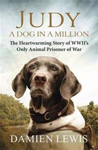Judy: A Dog in a Million