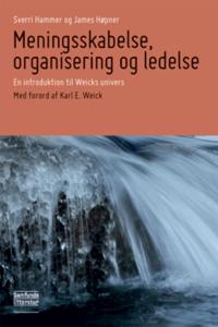Meningsskabelse, organisering og ledelse