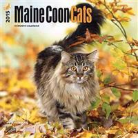 Maine Coon Cats 18-Month 2015 Calendar
