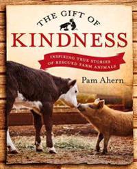 The Gift of Kindness