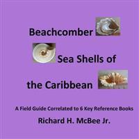 Beachcomber Seashells of the Caribbean: A Field Guide, Correlated to 6 Key Reference Books.