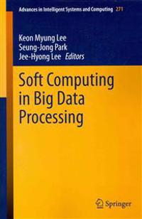 Soft Computing in Big Data Processing