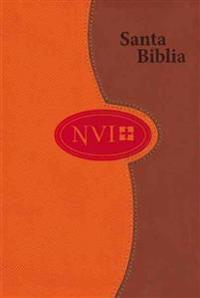 Biblia NVI de Letra Grande a DOS Tonos: Gris/Color Ladrillo
