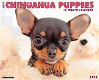 Just Chihuahua Puppies 18-Month Calendar
