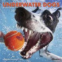 Underwater Dogs 18-Month Mini Calendar