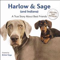Harlow & Sage (and Indiana): A True Story about Best Friends