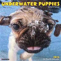 Underwater Puppies 18-Month Calendar