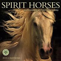 Spirit Horses Calendar