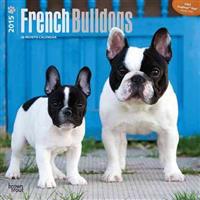 French Bulldogs 18-Month 2015 Calendar