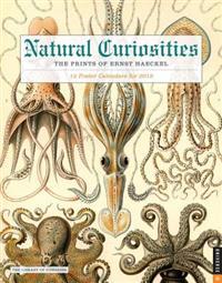 Natural Curiosities: The Prints of Ernst Haeckel: 12 Poster Calendars for 2015