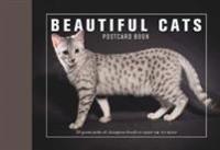 Beautiful Cats Postcard Book