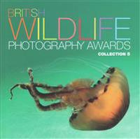 British Wildlife Photography Awards: Collection 5
