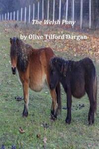The Welsh Pony