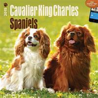 Cavalier King Charles Spaniels 18-Month 2015 Calendar