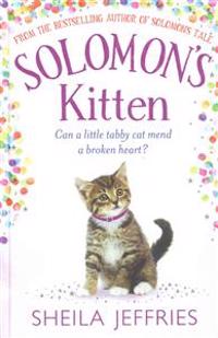 Solomon's Kitten