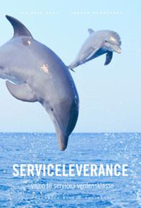 Serviceleverance