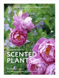 Royal Horticultural Society Companion to Scented Plants