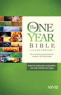 One Year Bible-NIV-Illustrated