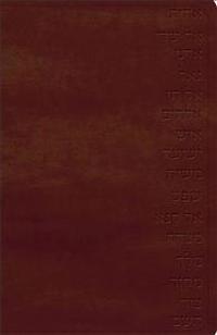 Names of God Bible-KJV-Hebrew Name Design