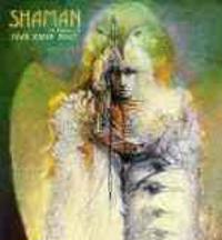 Boulet/Shaman 2015 Wall Calendar