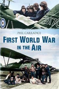 The First World War in the Air