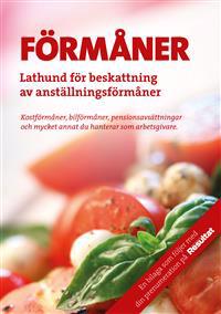 Förmåner 2014 : beskattning av anställningsförmåner