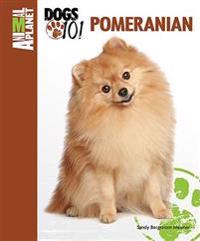 Pomeranian