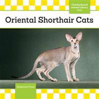 Oriental Shorthair Cats