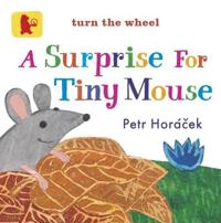 Surprise for Tiny Mouse