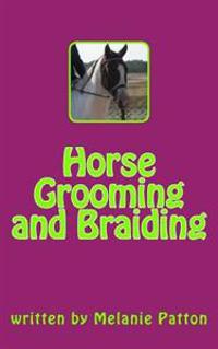 Horse Grooming and Braiding