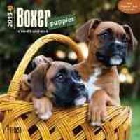 Boxer Puppies 18 Month 2015 Calendar